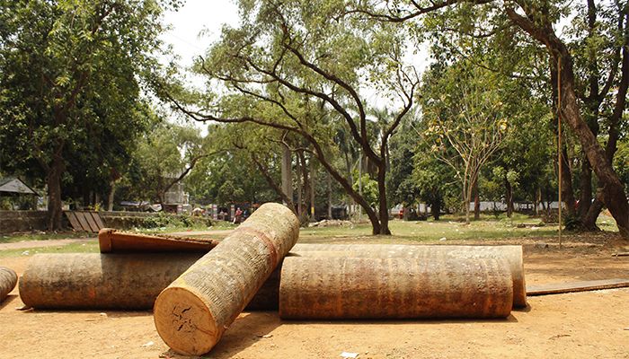 সোহরাওয়ার্দীর গাছকাটায় আদালত অবমাননা মামলার আবেদন