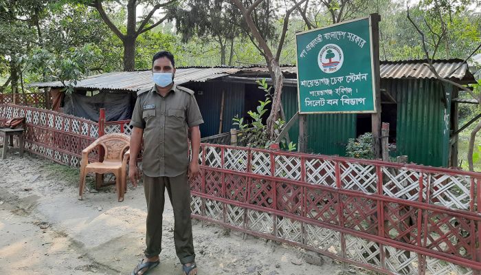 জরাজীর্ণ বনজদ্রব্য ফাঁড়ি