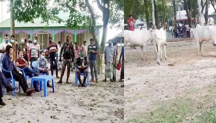 নীলফামারীর জলঢাকায় ভারতীয় গরুসহ গ্রেফতার ৪