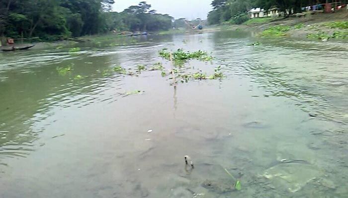 কুমার নদীতে নিষিদ্ধ জাল দিয়ে অবাধে মাছ শিকার