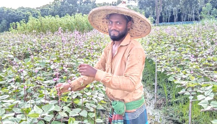 গ্রীষ্মকালীন শিম চাষে বাজিমাত