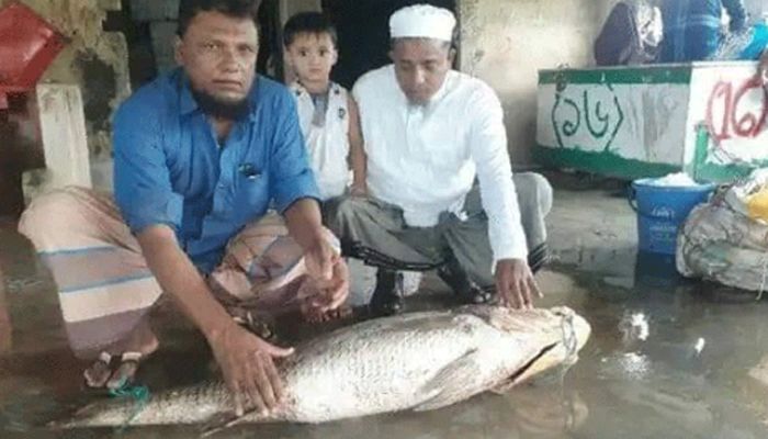 টেকনাফে ধরা পড়লো ২৭ কেজির পোয়া মাছ