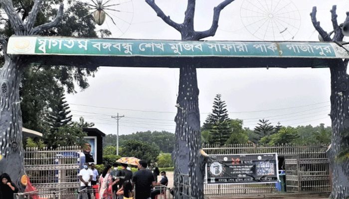 বঙ্গবন্ধু সাফারী পার্ক খুলেছে, বেড়েছে প্রাণীর সংখ্যা