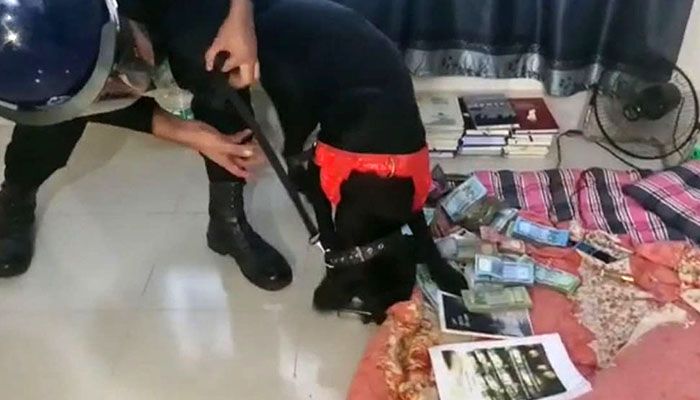 বসিলায় ‘জঙ্গি আস্তানা’: অস্ত্র ও বিস্ফোরক উদ্ধার