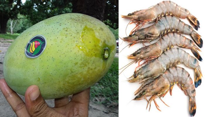 এবার আন্তর্জাতিক স্বীকৃতি পাচ্ছে ফজলি আম ও বাগদা চিংড়ি
