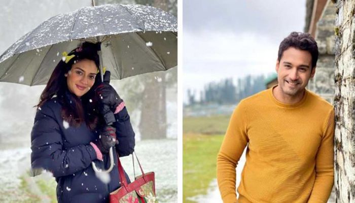 আর রাখঢাক নয়, কাশ্মীরে প্রেমে মত্ত ‘যশরত’