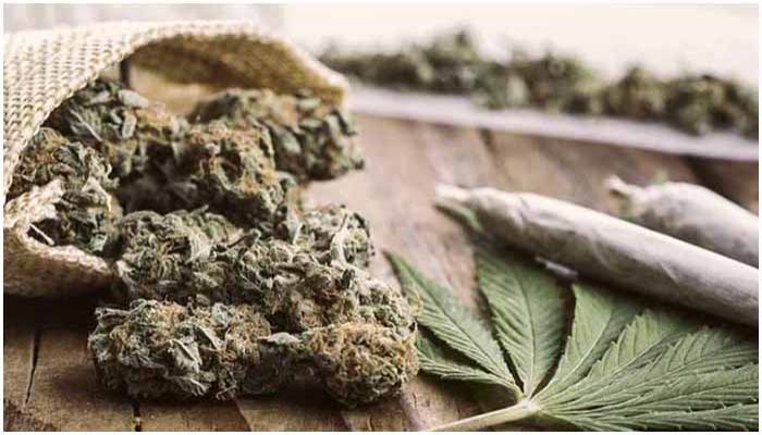 গাঁজা সেবনকারীর মন ও মস্তিষ্কে কি ঘটায়?