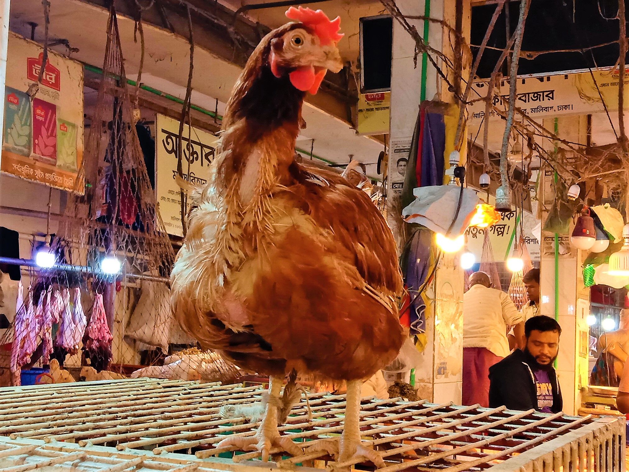 ছবিতে এ সপ্তাহের বাজারদর