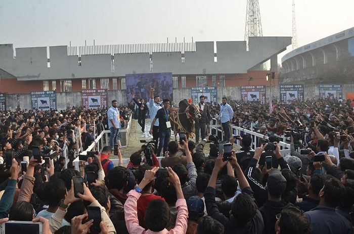 চট্টগ্রামে গরুর ফ্যাশন শো