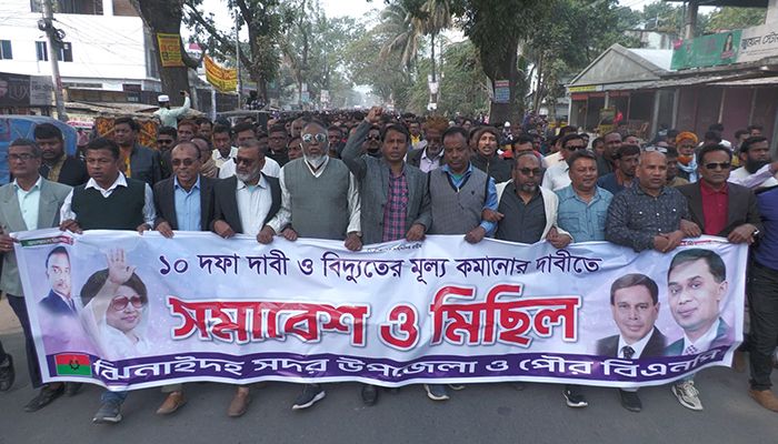 বিদ্যুতের মূল্য বৃদ্ধির প্রতিবাদে ঝিনাইদহে বিএনপির বিক্ষোভ 