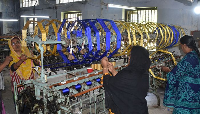 উদ্ভিদের পাতা খেয়ে পোকা ঢেলে দেয় ‘সোনার টাকা’