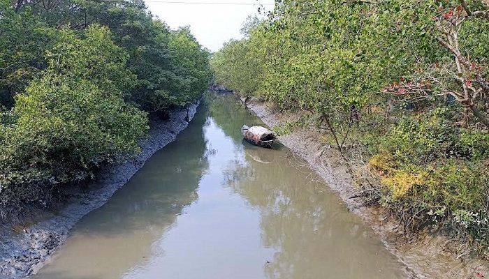 বাগেরহাটে বাঘের আক্রমণে জেলে আহত