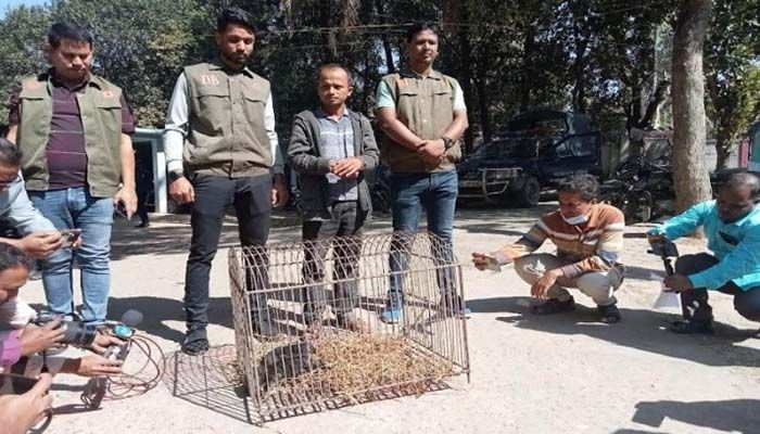 চকরিয়ায় বিপন্ন প্রজাতির ভাল্লুক শাবক উদ্ধার