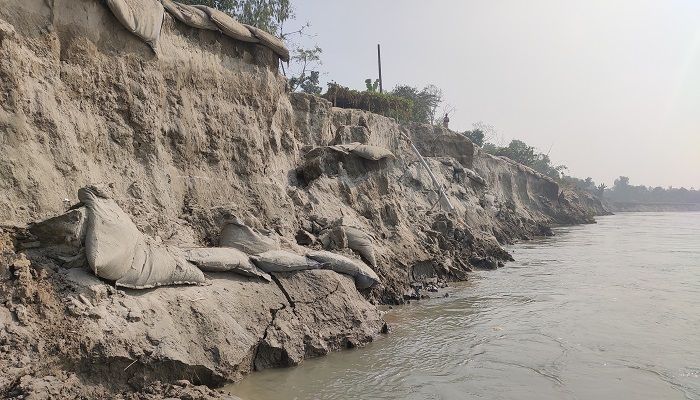 যমুনা নদী ভাঙন। ছবি: সিরাজগঞ্জ প্রতিনিধি
