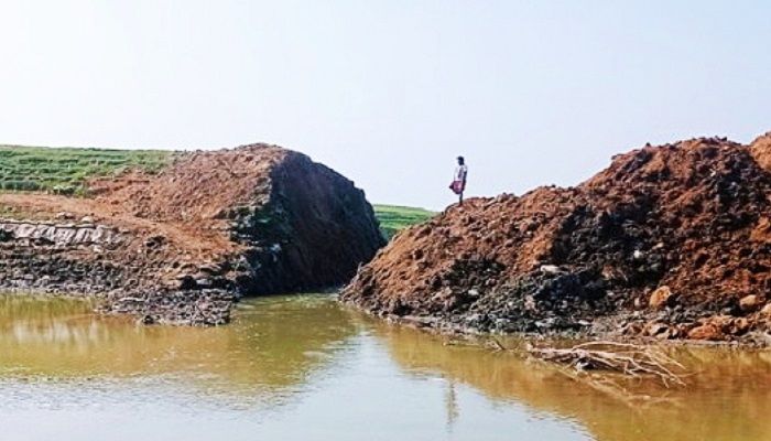 বাঁধ কেটে জলমহালের পানি নিষ্কাশন, হুমকির মুখে বোরো জমি