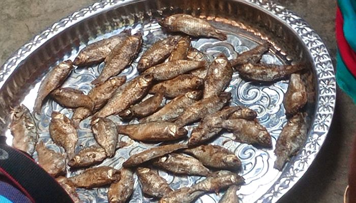 চ্যাপা শুঁটকিতে লাভবান ২০ গৃহবধূ