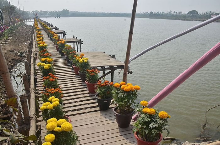 চোখ জুড়ানো ‘ডিসি ফ্লাওয়ার পার্ক’