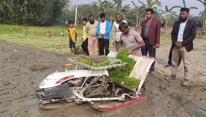নীলফামারীতে রাইস ট্রান্সপ্লান্টারের মাধ্যমে ধানের চারা রোপণ