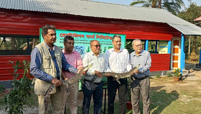 প্রথম বাণিজ্যিক কুমির খামার রেপটাইলস ফার্ম। ছবি: ময়মনসিংহ প্রতিনিধি