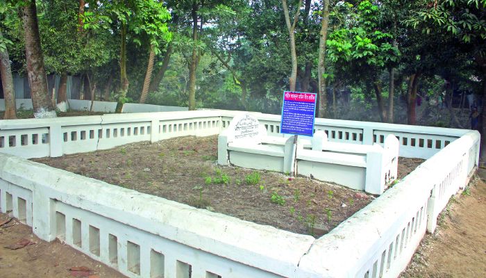 শহীদ মমিনের খোঁজে