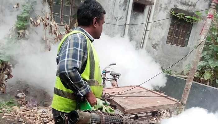 মশার রাজত্বে অসহায় নগরবাসী