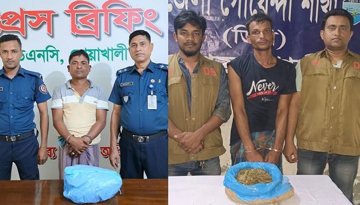 নোয়াখালীতে গাঁজাসহ ২ মাদক ব্যবসায়ী গ্রেপ্তার