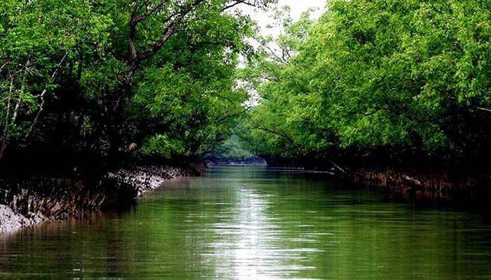 সুন্দরবনে ‘সিঙ্গেল ইউজ প্লাস্টিক’ উপর নিষেধাজ্ঞা আসছে 