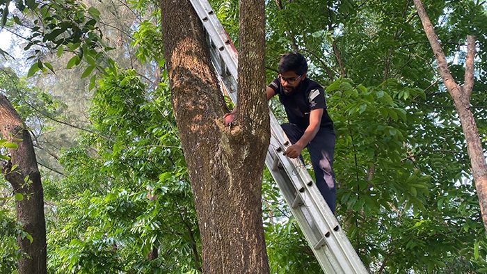পাখির জন্য ভালোবাসা