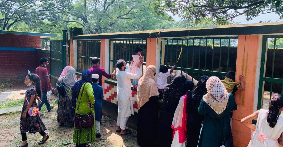 ঈদের দ্বিতীয় দিনে জমজমাট চিড়িয়াখানা