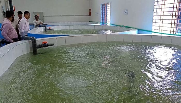 সারা বছর মাছের পোনা উৎপাদন হবে বাকৃবিতে 