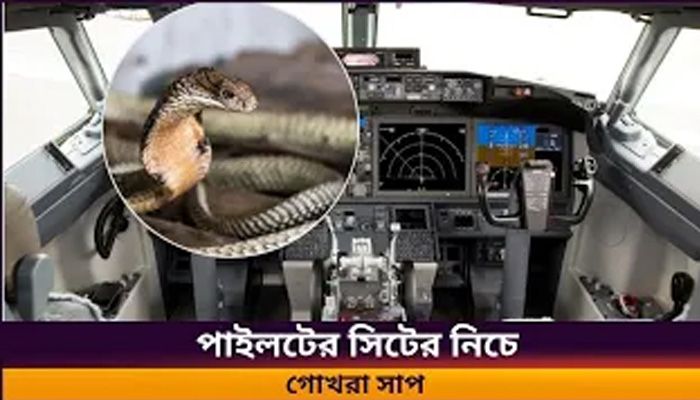 ককপিটে গোখরা সাপ, উড়োজাহাজের জরুরি অবতরণ