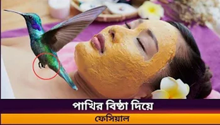 সেলিব্রেটি ও ধনীদের পাখির বিষ্ঠার ফেসপ্যাক