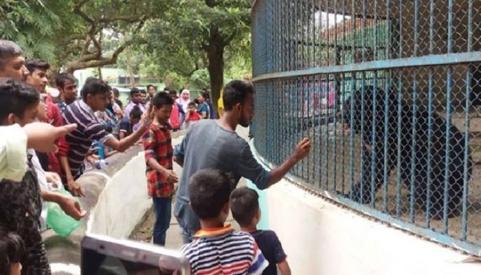 চিড়িয়াখানার প্রাণীদের খাবার দিলে জেল-জরিমানা