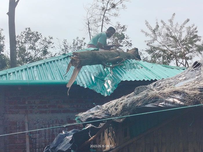 সেন্টমার্টিনে মোখার তাণ্ডবের চিহ্ন