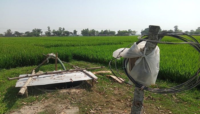 নিচে নামছে পানির স্তর, কৃষকের কপালে চিন্তার ভাঁজ