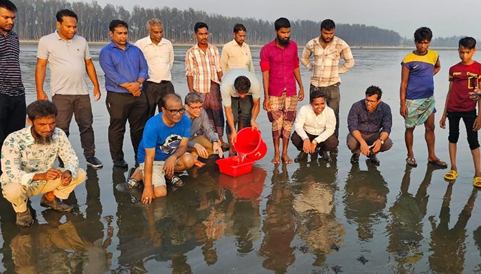 কক্সবাজার সমুদ্রে ৪৬টি কচ্ছপের বাচ্চা অবমুক্ত 