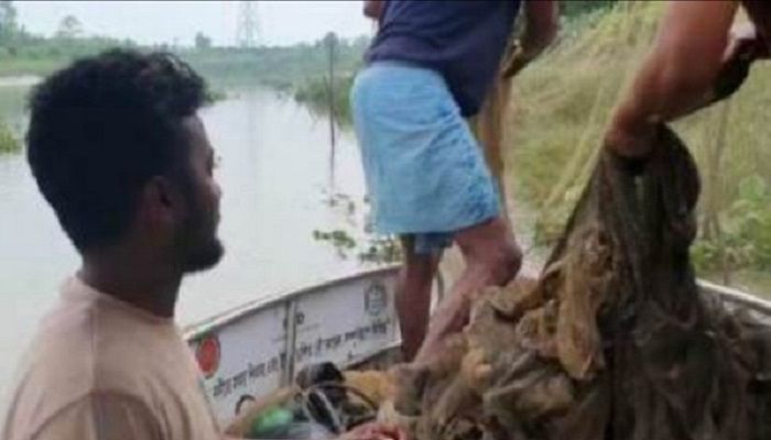 হালদায় ৩ হাজার মিটার জাল জব্দ