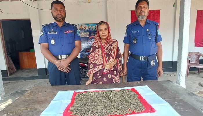 গাইবান্ধায় এক কেজি গাঁজাসহ নারী আটক