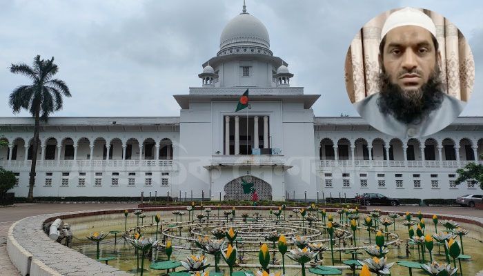আরও ৩ মামলায় জামিন পেলেন মামুনুল হক