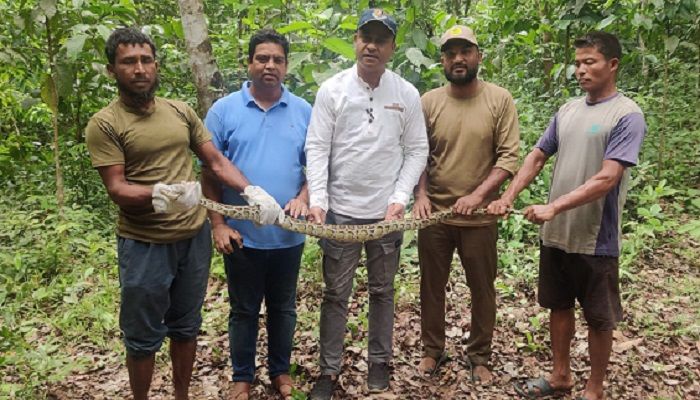 কাপ্তাইয়ে অজগর অবমুক্ত