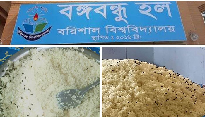 জীবাণুর ভাগাড় বরিশাল বিশ্ববিদ্যালয়ের বঙ্গবন্ধু হলের ক্যান্টিন