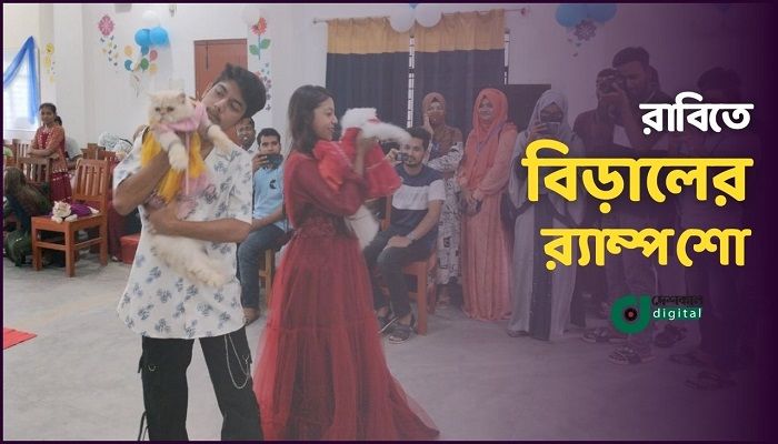 রাজশাহী বিশ্ববিদ্যালয়ে বিড়ালের র‌্যাম্প শো
