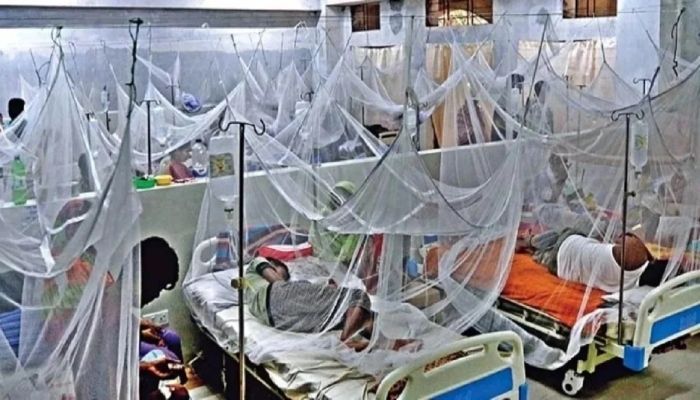 ডেঙ্গুতে দুই জনের মৃত্যু, আক্রান্ত ১৪৫