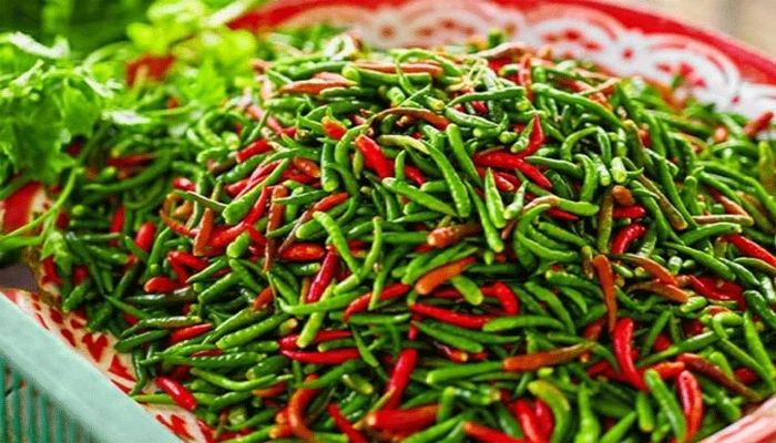 কাঁচামরিচের কেজি ৫০০ টাকা 