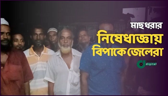 মা-ইলিশ ধরায় নিষেধাজ্ঞা, বিপাকে জেলেরা