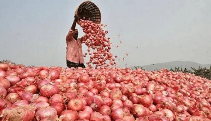 আগামীকাল থেকে পেঁয়াজ আমদানি করবে সরকার