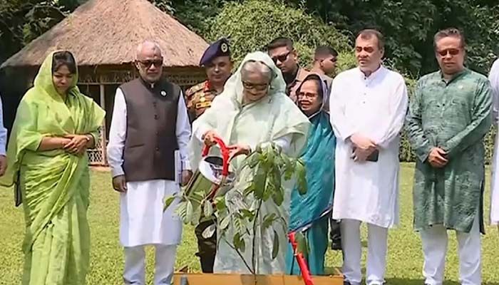 জলবায়ুর প্রভাব থেকে বাঁচতে বেশি করে গাছ লাগানোর আহ্বান প্রধানমন্ত্রীর