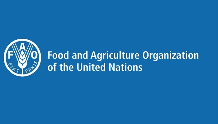 জাতিসংঘের খাদ্য ও কৃষি সংস্থার (এফএও) লোগো। ছবি: সংগৃহীত
