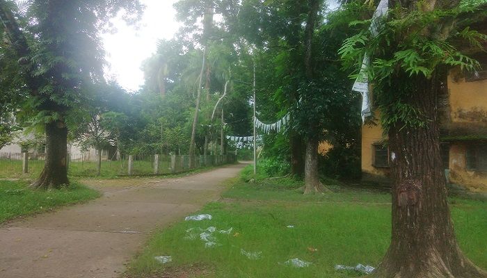 শতবর্ষী ১২৯টি গাছ কাটার চূড়ান্ত বন্দোবস্ত করছে পাউবো