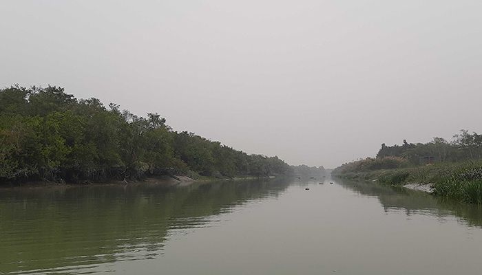 সহজ হচ্ছে সুন্দরবন ভ্রমণ